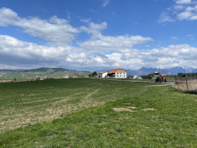 Ferme fribourgeoise à rénover avec un potentiel de construction exceptionnel ! image 2