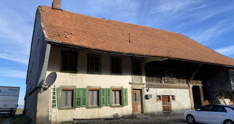 Ferme fribourgeoise à rénover avec un potentiel de construction exceptionnel ! image 3