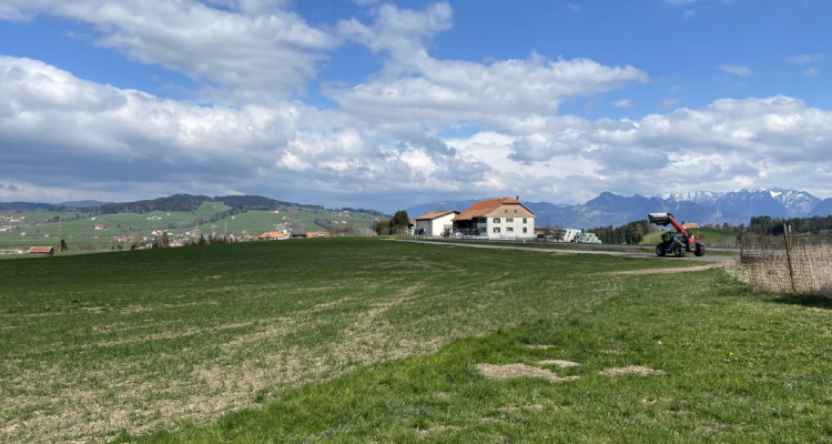 Ferme fribourgeoise à rénover avec un potentiel de construction exceptionnel ! image 2