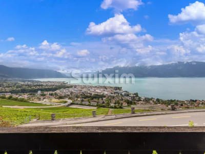 Très beau duplex de 6.5 pièces avec vue sur le Lac ! image 1