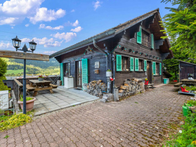 Exclusivité ! Superbe chalet de deux appartements au pied des pistes image 1