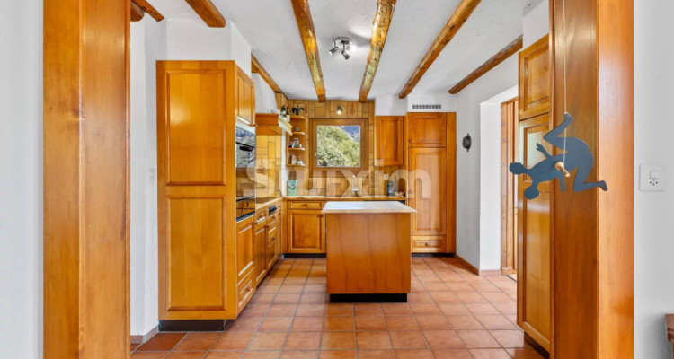 Exclusivité ! Havre de paix, villa de charme vue dégagée sur le lac ! image 3