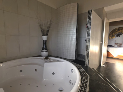 villa de haut standing image 13