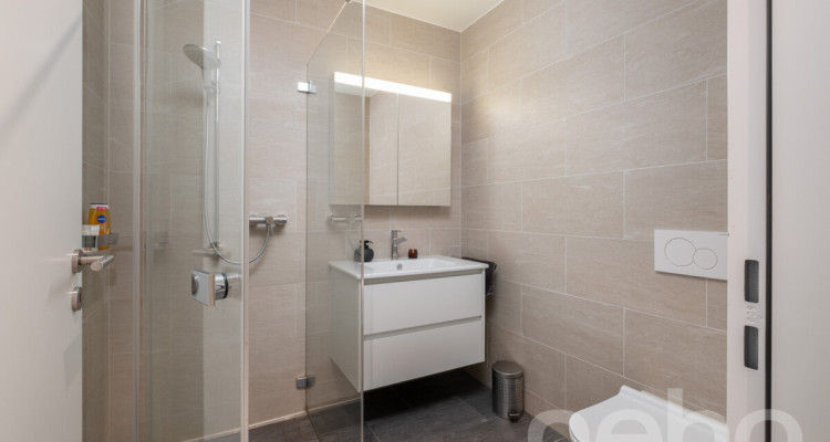 Attraktive 5.5-Zimmer-Maisonette-Gartenwohnung image 7