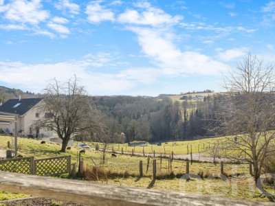Maison de caractère avec logement indépendant à Chavannes-le-Chêne image 1