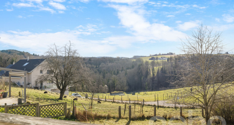 Maison de caractère avec logement indépendant à Chavannes-le-Chêne image 1