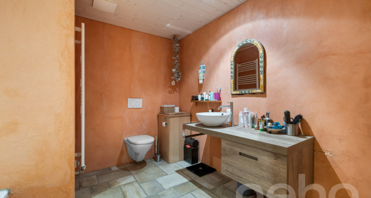 Maison de caractère avec logement indépendant à Chavannes-le-Chêne image 12