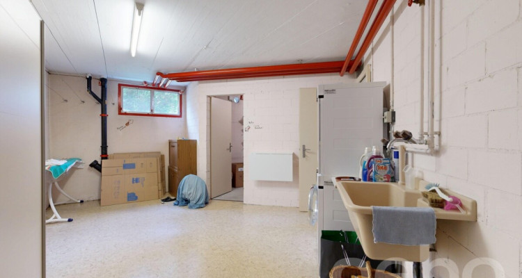 Gartenwohnung mit Wintergarten und Bastelraum an zentraler Lage image 11