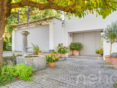 Einfamilienhaus mit Aussenpool und viel Privatsphäre image 12