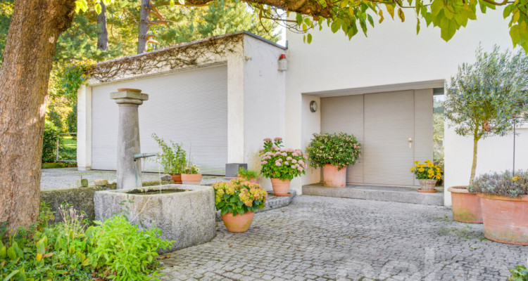 Einfamilienhaus mit Aussenpool und viel Privatsphäre image 12