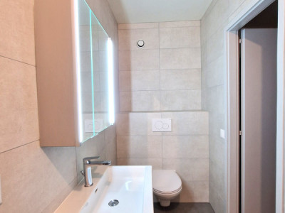 Corsier Centre, Garden Apartment, Magnifique 5 pièces entièrement rénové image 7