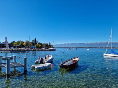 Corsier Centre, Garden Apartment, Magnifique 5 pièces entièrement rénové image 1