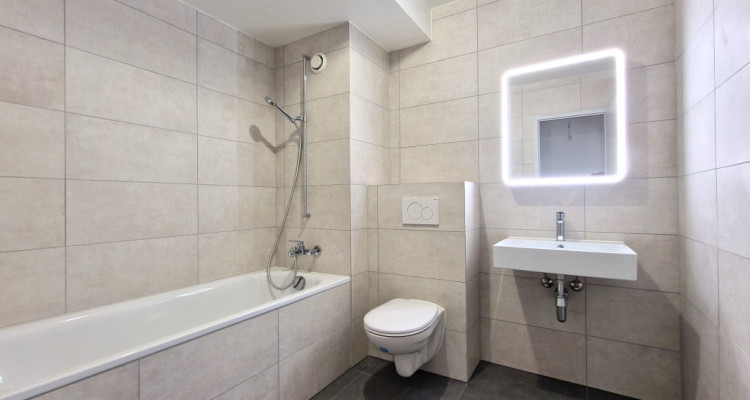 Corsier Centre, Garden Apartment, Magnifique 5 pièces entièrement rénové image 9