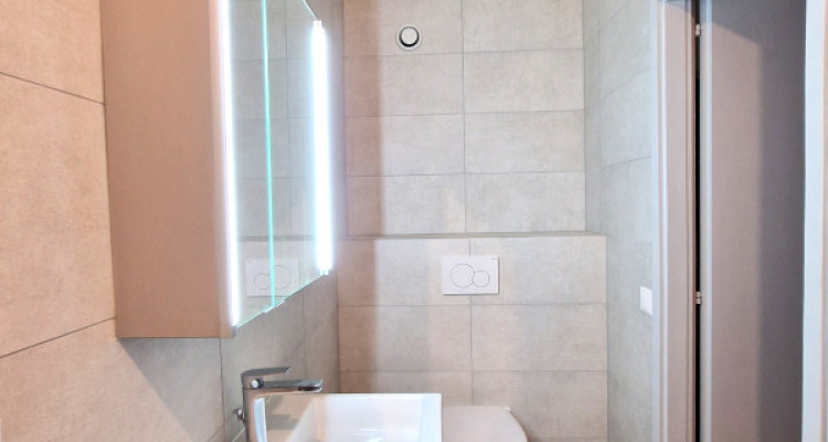 Corsier Centre, Garden Apartment, Magnifique 5 pièces entièrement rénové image 7