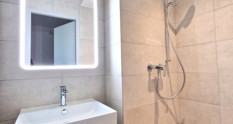 Corsier Centre, Garden Apartment, Magnifique 5 pièces entièrement rénové image 11