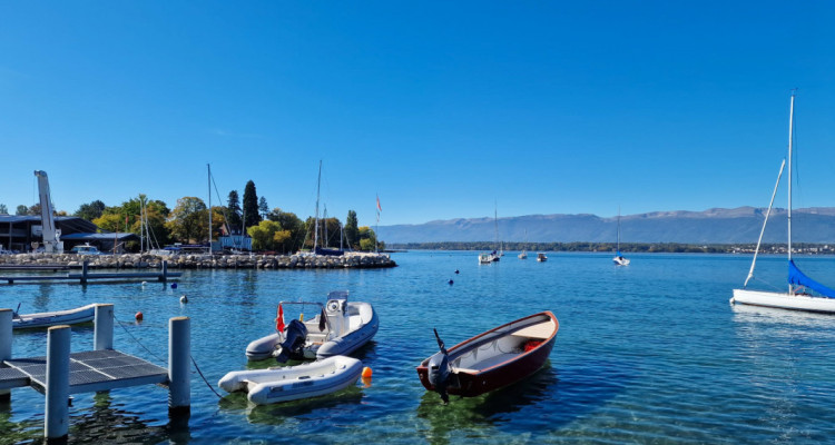 Corsier Centre, Garden Apartment, Magnifique 5 pièces entièrement rénové image 1