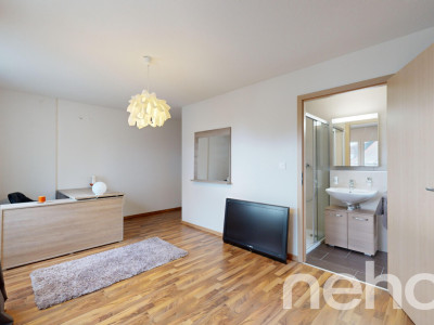 Duplex d?exception avec terrasse rénovée aux Geneveys-sur-Coffrane image 9