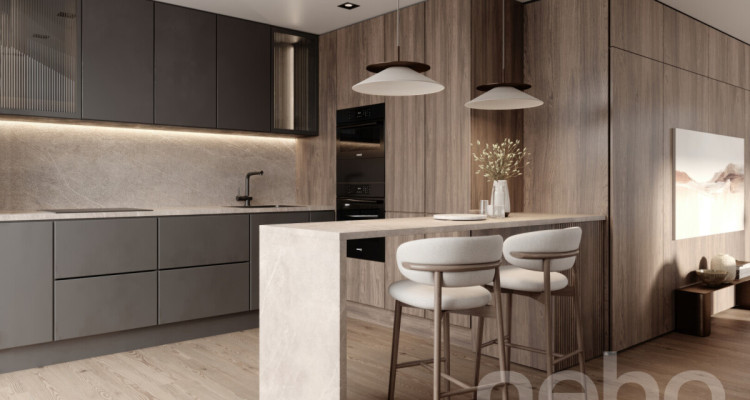 Attique de standing avec grand balcon image 3