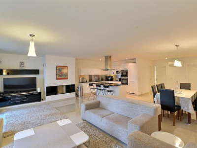 EN PARFAIT ETAT - AU CENTRE - VUE LAC image 1