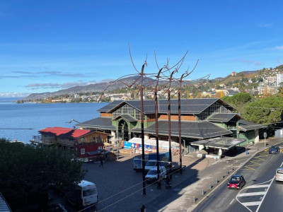 EN PARFAIT ETAT - AU CENTRE - VUE LAC image 3