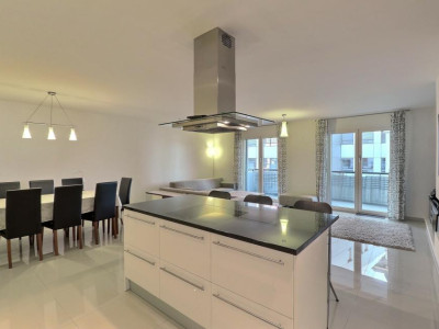 EN PARFAIT ETAT - AU CENTRE - VUE LAC image 8