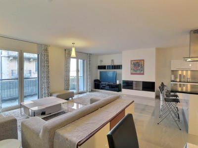 EN PARFAIT ETAT - AU CENTRE - VUE LAC image 9