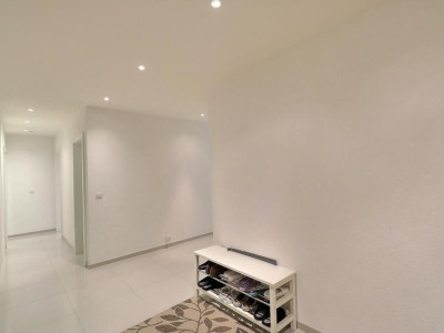 EN PARFAIT ETAT - AU CENTRE - VUE LAC image 13