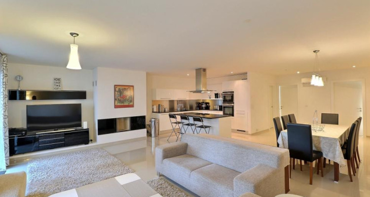 EN PARFAIT ETAT - AU CENTRE - VUE LAC image 1