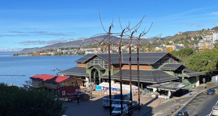 EN PARFAIT ETAT - AU CENTRE - VUE LAC image 3