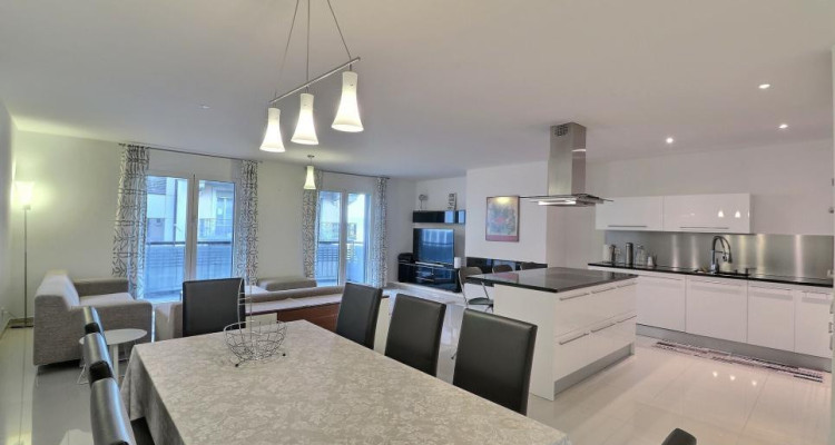 EN PARFAIT ETAT - AU CENTRE - VUE LAC image 6