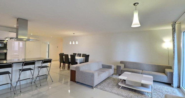 EN PARFAIT ETAT - AU CENTRE - VUE LAC image 7