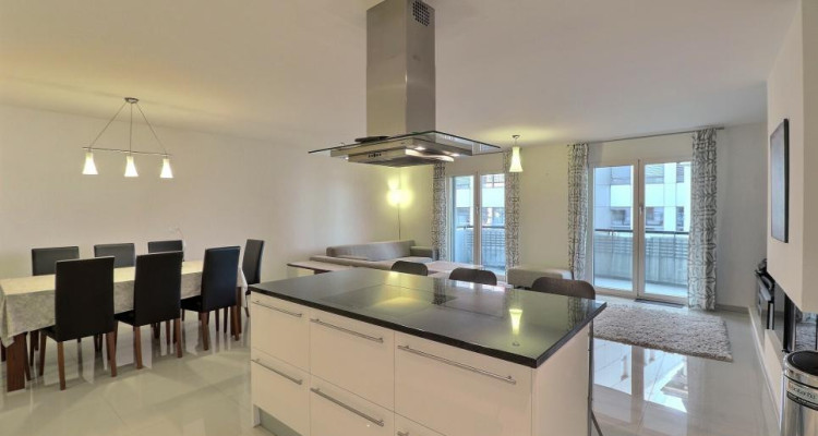 EN PARFAIT ETAT - AU CENTRE - VUE LAC image 8