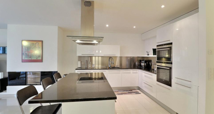 EN PARFAIT ETAT - AU CENTRE - VUE LAC image 10