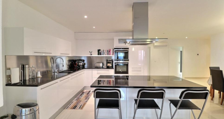 EN PARFAIT ETAT - AU CENTRE - VUE LAC image 11