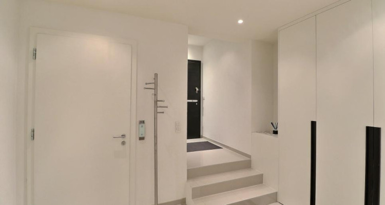 EN PARFAIT ETAT - AU CENTRE - VUE LAC image 12