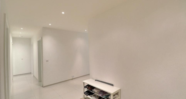 EN PARFAIT ETAT - AU CENTRE - VUE LAC image 13