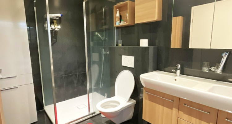 🌿 Penthalaz – Villa familiale rénovée avec appartement indépendant aménagé image 7