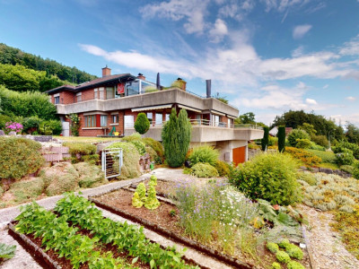 189 m2 grosse Terrassenwohnung mit Garten im idyllischen Rebhang image 1