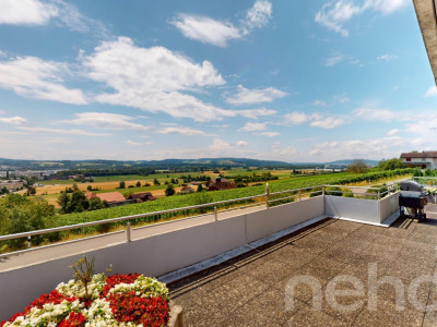 189 m2 grosse Terrassenwohnung mit Garten im idyllischen Rebhang image 4