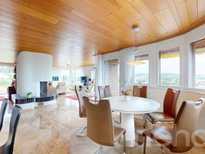 189 m2 grosse Terrassenwohnung mit Garten im idyllischen Rebhang image 9