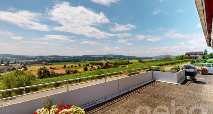 189 m2 grosse Terrassenwohnung mit Garten im idyllischen Rebhang image 4