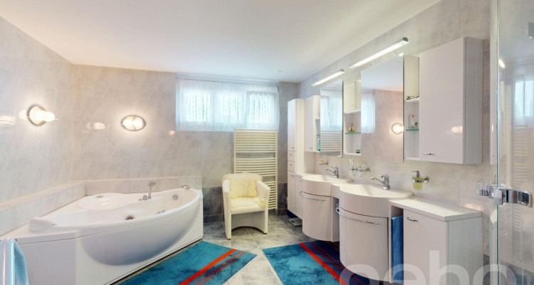 189 m2 grosse Terrassenwohnung mit Garten im idyllischen Rebhang image 11