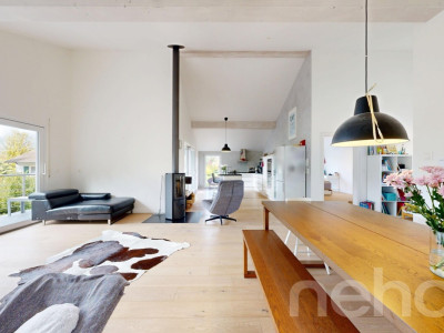 Magnifique villa individuelle à deux pas du lac image 7