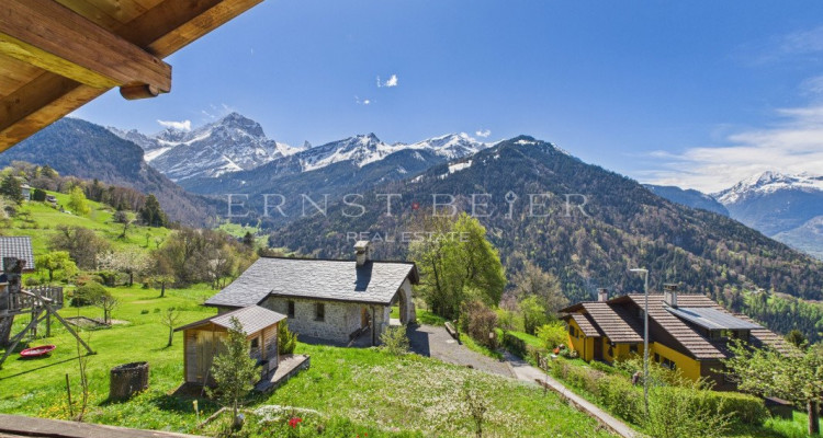 Beau chalet avec grange attenante et vue panoramique - environnement paisible image 7