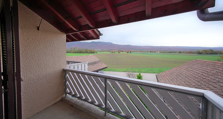 Belle et spacieuse villa au calme et proche de Nyon image 6