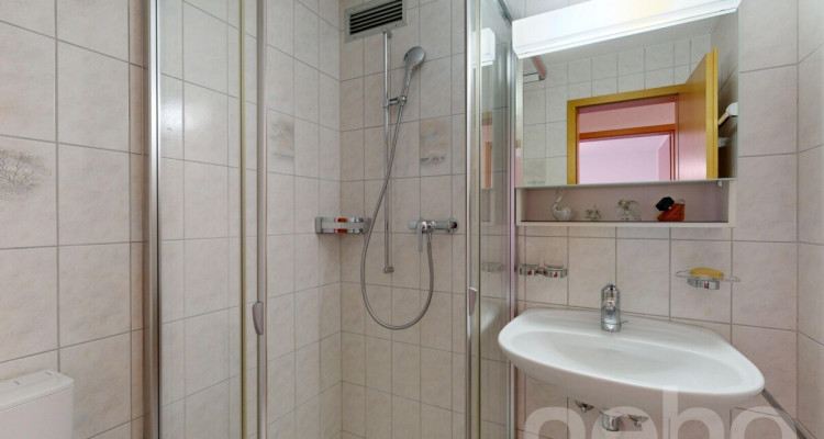 Charmante 3.5-Zimmer-Wohnung mit Seesicht in Altendorf SZ image 11