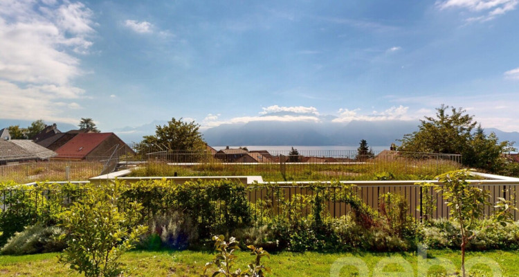 Magnifique appartement rénové en rez de jardin à Saint-Légier image 10