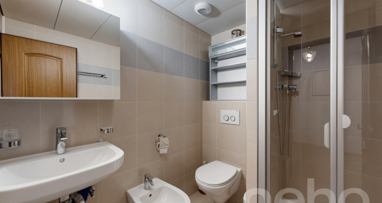 Appartement de 3 chambres avec vue panoramique image 9