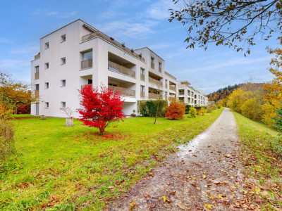 Lichtdurchflutete 2.5-Zimmer-Wohnung mit Blick Richtung Töss image 1