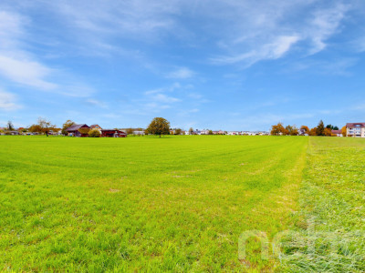 Attraktive Baulandparzelle mit zusätzlicher Landwirtschaftsfläche image 7